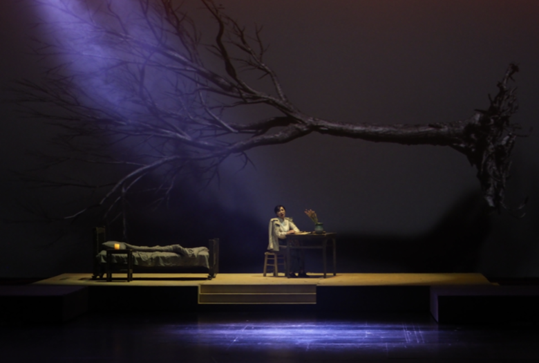 走出国门的“林徽因”