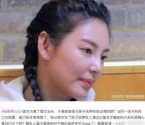 袁巴元批张雨绮卖惨：拿小孩说事 为利益谎话连篇