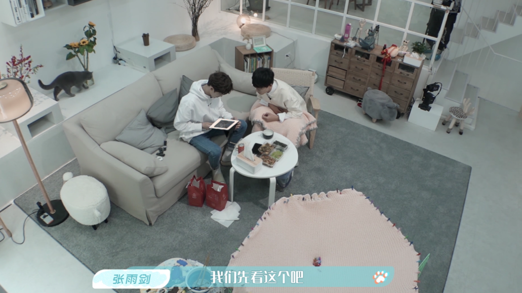 《汪喵物语》猫狗大战互不相让 朱正廷张雨剑化解矛盾