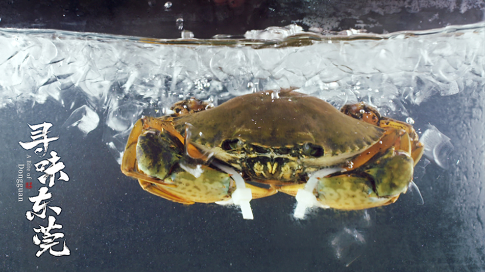 美食记载片《寻味东莞》开播 平淡质朴为底色